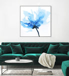 Blue Poppy II by Wendy Kroeker on GIANT ART - white floral
