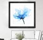 Blue Poppy II by Wendy Kroeker on GIANT ART - white floral