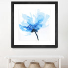 Blue Poppy II by Wendy Kroeker on GIANT ART - white floral