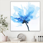 Blue Poppy II by Wendy Kroeker on GIANT ART - white floral