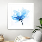 Blue Poppy II by Wendy Kroeker on GIANT ART - white floral
