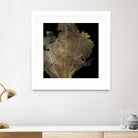 Honey Comb Coral I by Aimee Wilson on GIANT ART - gold nautical