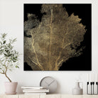 Honey Comb Coral I by Aimee Wilson on GIANT ART - gold nautical