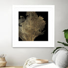 Honey Comb Coral I by Aimee Wilson on GIANT ART - gold nautical
