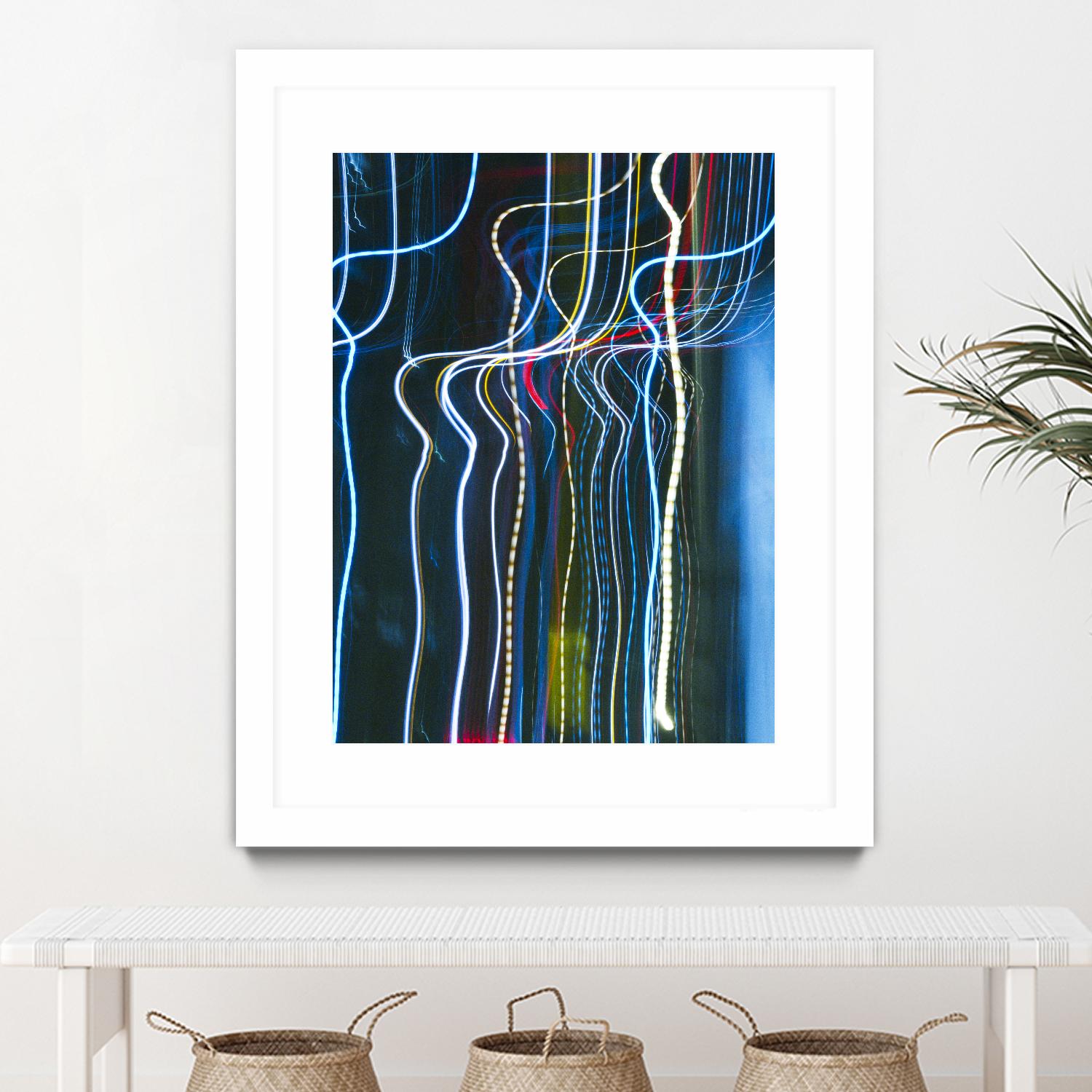 Stems I by William Cooke on GIANT ART - white abstract