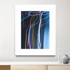 Stems III by William Cooke on GIANT ART - white abstract