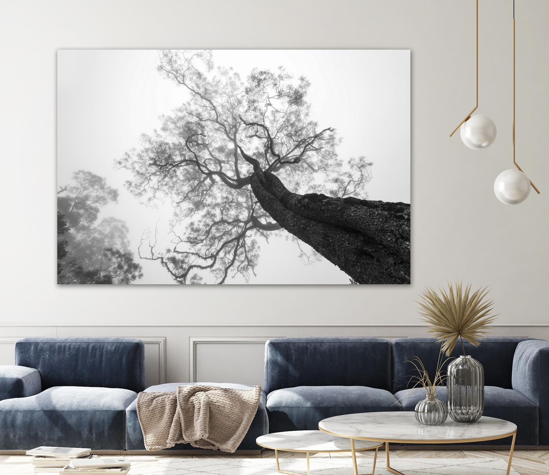 Wrobel - Between Heaven and Earth by 1X on GIANT ART - black trees