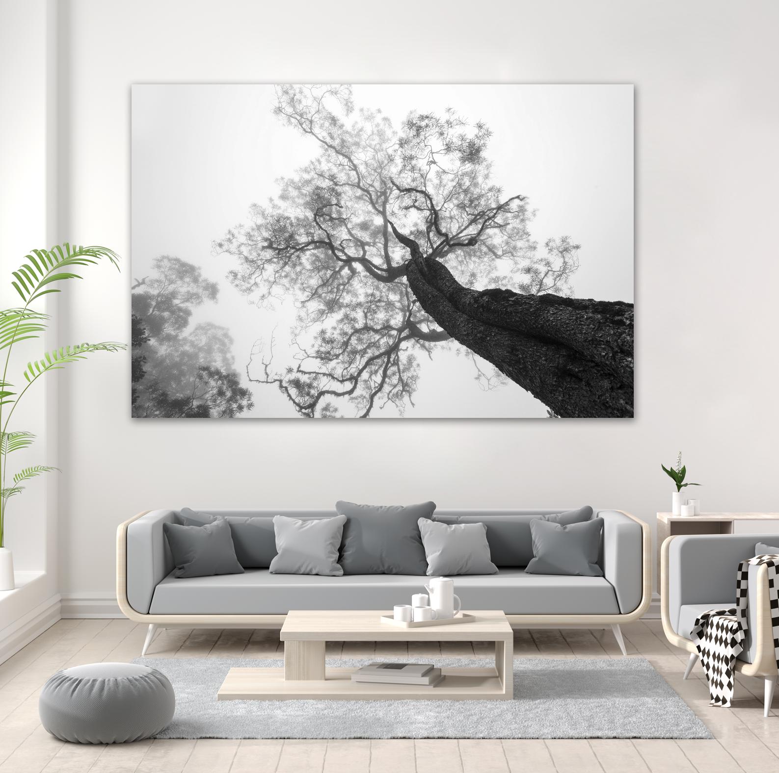 Wrobel - Between Heaven and Earth by 1X on GIANT ART - black trees