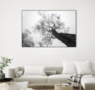 Wrobel - Between Heaven and Earth by 1X on GIANT ART - black trees