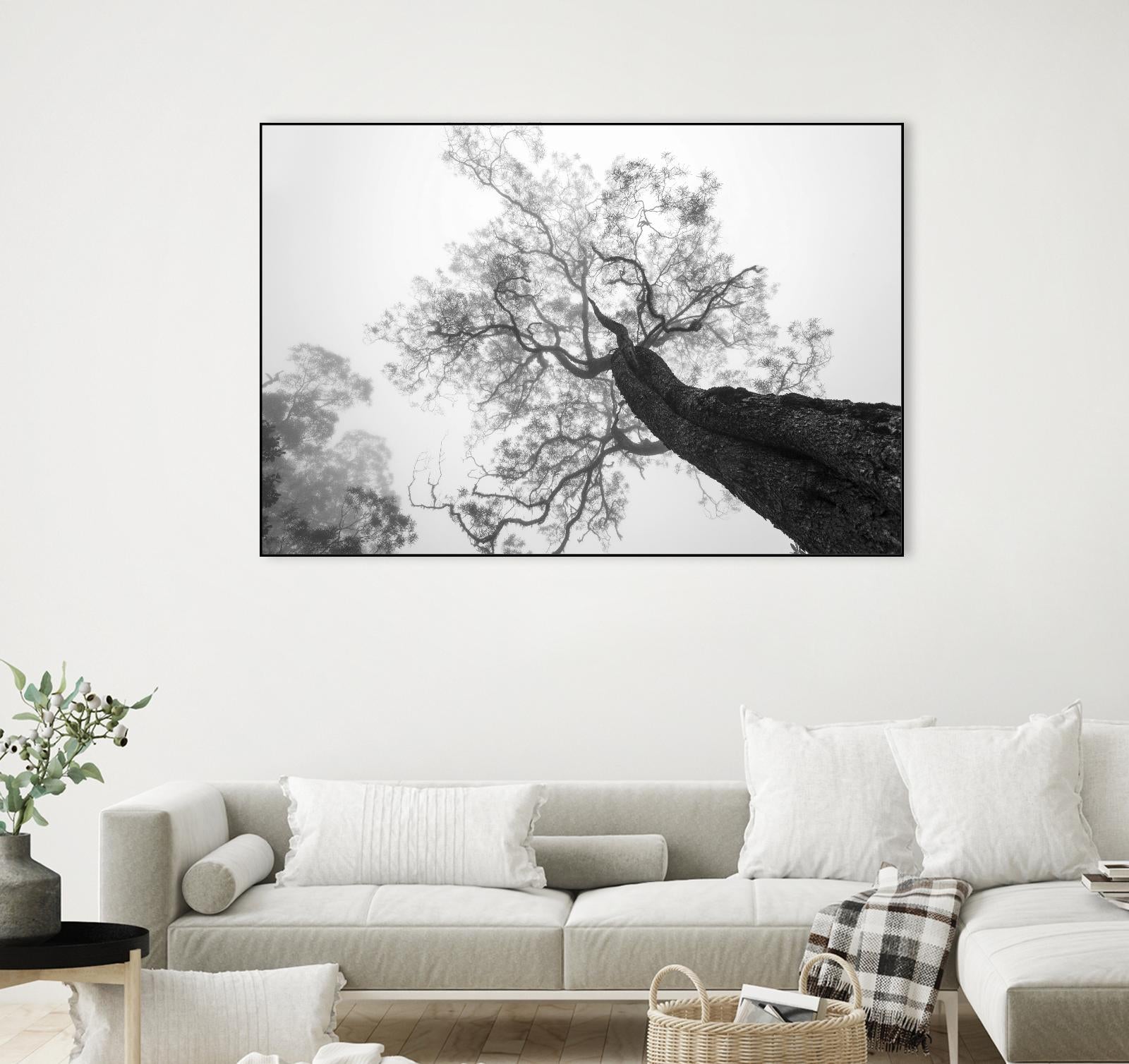 Wrobel - Between Heaven and Earth by 1X on GIANT ART - black trees