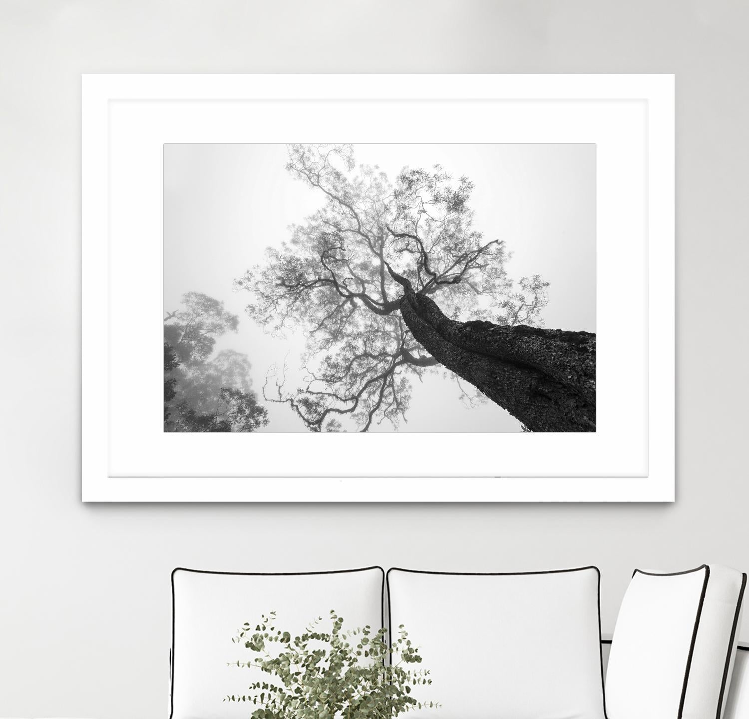 Wrobel - Between Heaven and Earth by 1X on GIANT ART - black trees