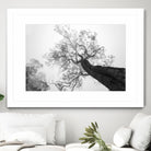 Wrobel - Between Heaven and Earth by 1X on GIANT ART - black trees