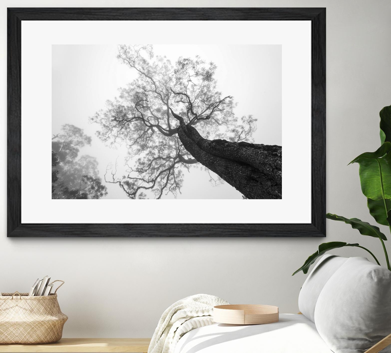 Wrobel - Between Heaven and Earth by 1X on GIANT ART - black trees