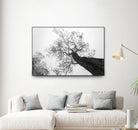 Wrobel - Between Heaven and Earth by 1X on GIANT ART - black trees