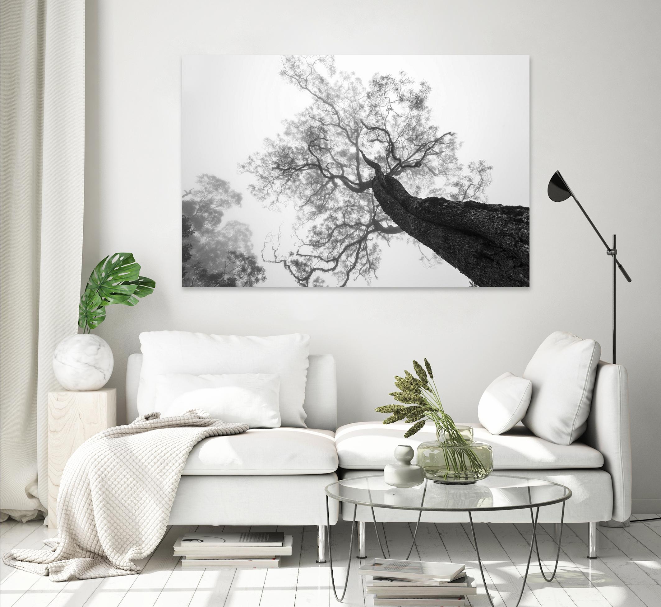 Wrobel - Between Heaven and Earth by 1X on GIANT ART - black trees