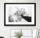 Wrobel - Between Heaven and Earth by 1X on GIANT ART - black trees