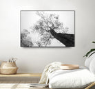 Wrobel - Between Heaven and Earth by 1X on GIANT ART - black trees