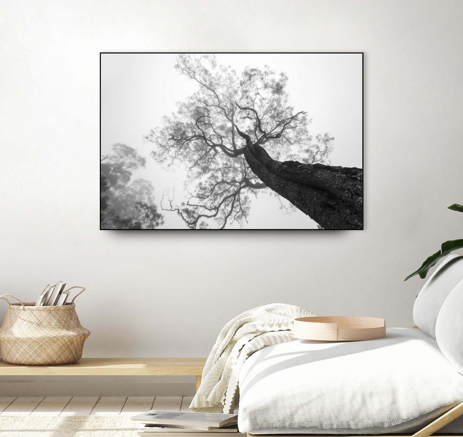 Wrobel - Between Heaven and Earth by 1X on GIANT ART - black trees