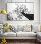 Wrobel - Between Heaven and Earth by 1X on GIANT ART - black trees