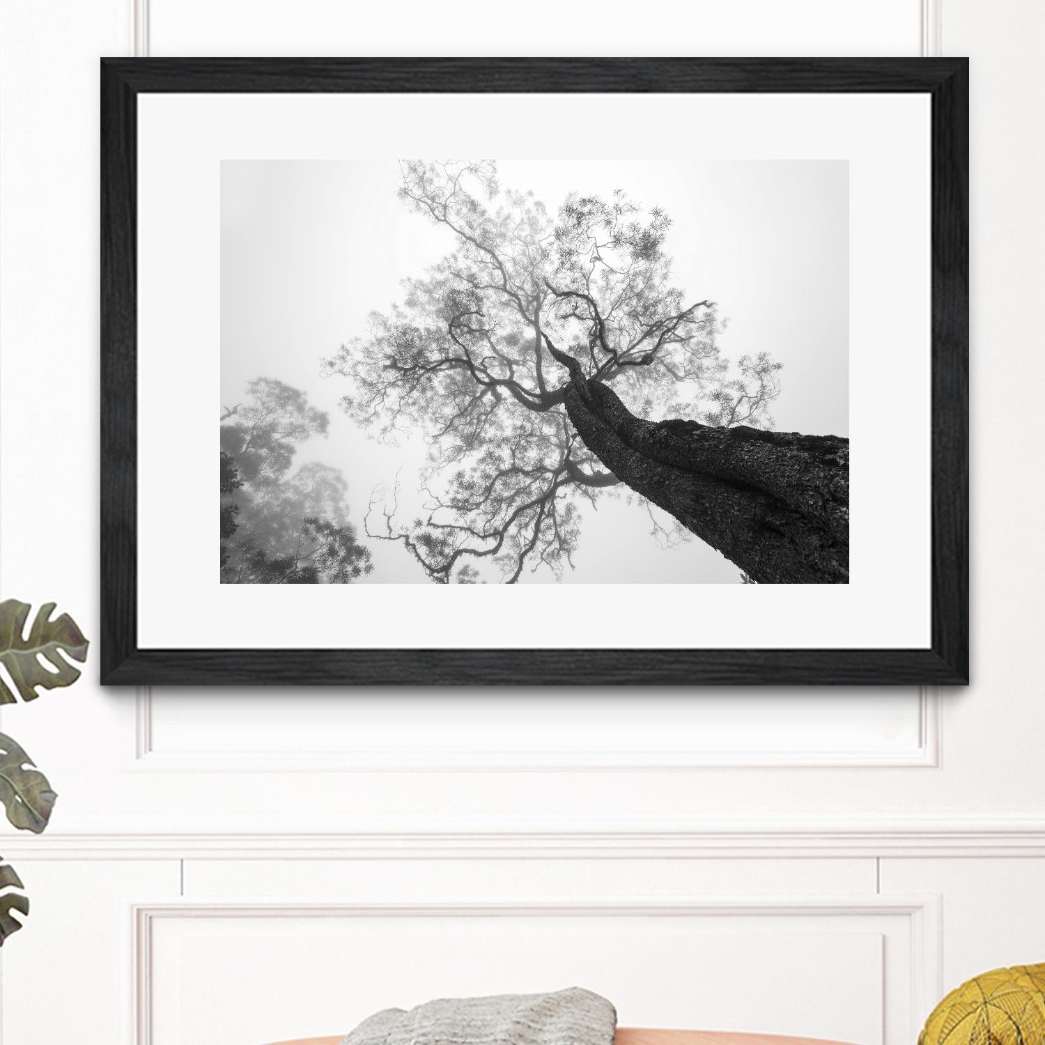 Wrobel - Between Heaven and Earth by 1X on GIANT ART - black trees