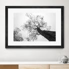 Wrobel - Between Heaven and Earth by 1X on GIANT ART - black trees