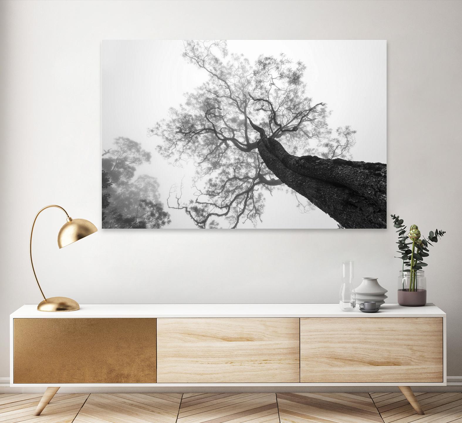 Wrobel - Between Heaven and Earth by 1X on GIANT ART - black trees