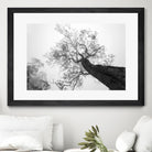 Wrobel - Between Heaven and Earth by 1X on GIANT ART - black trees