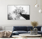 Wrobel - Between Heaven and Earth by 1X on GIANT ART - black trees