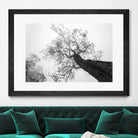 Wrobel - Between Heaven and Earth by 1X on GIANT ART - black trees