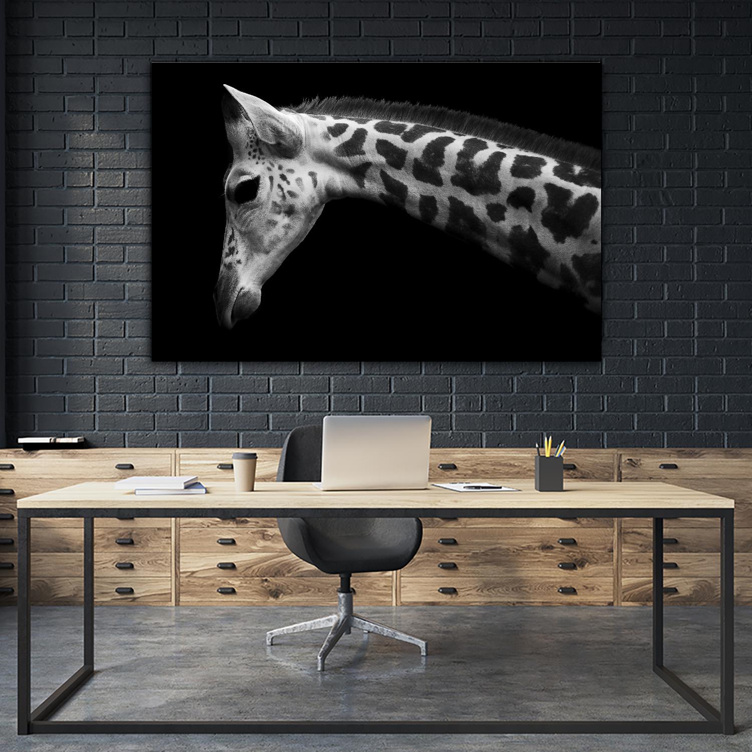 Williams - Calf by 1X on GIANT ART - white animals