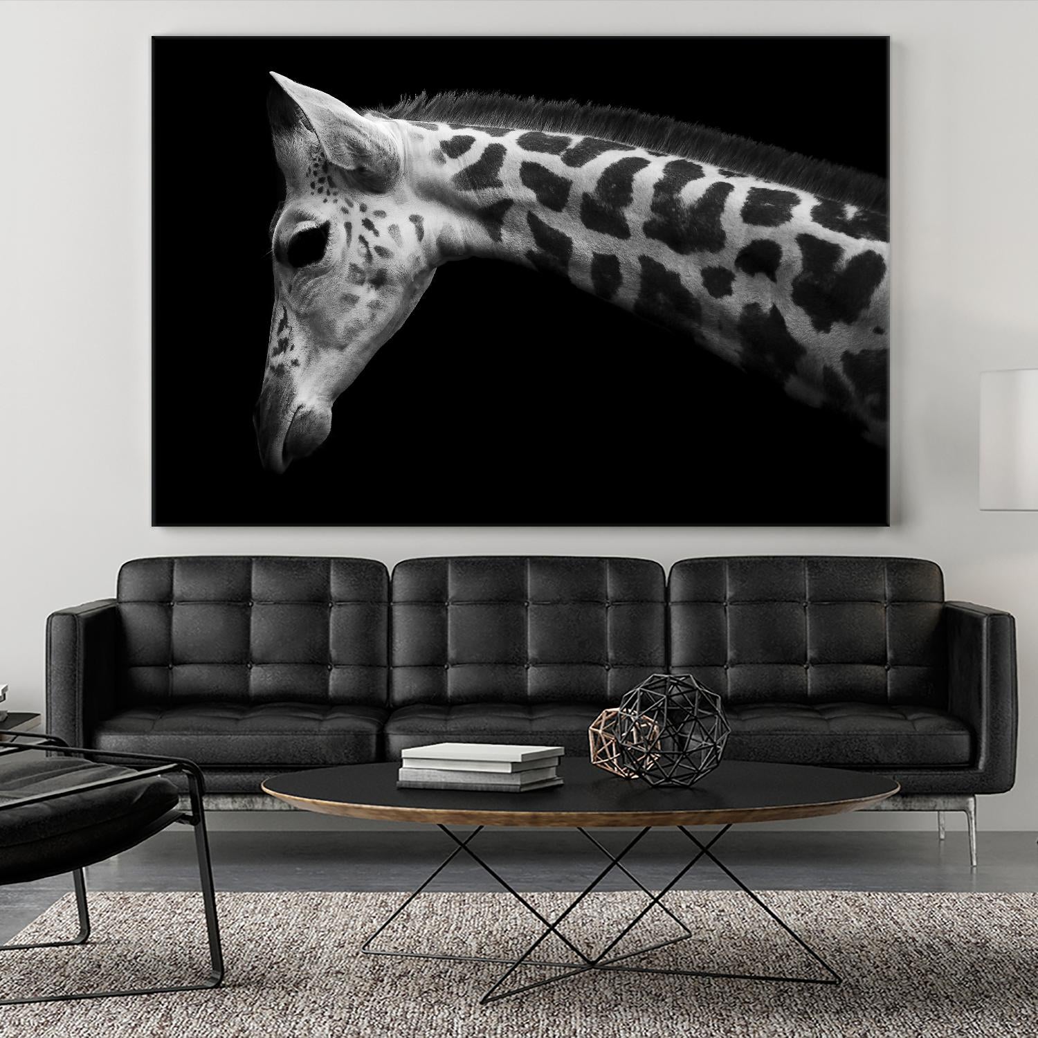 Williams - Calf by 1X on GIANT ART - white animals