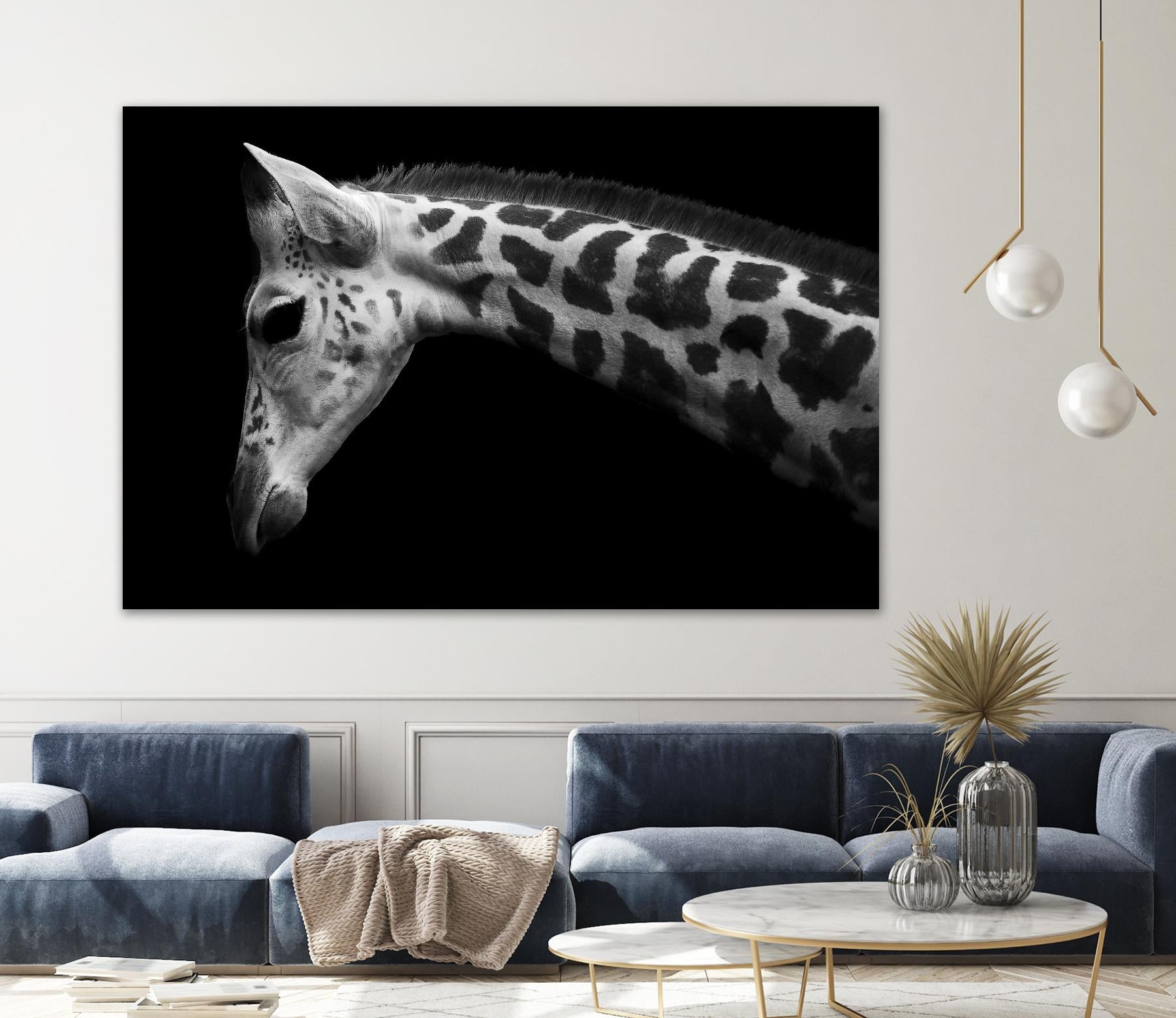 Williams - Calf by 1X on GIANT ART - white animals