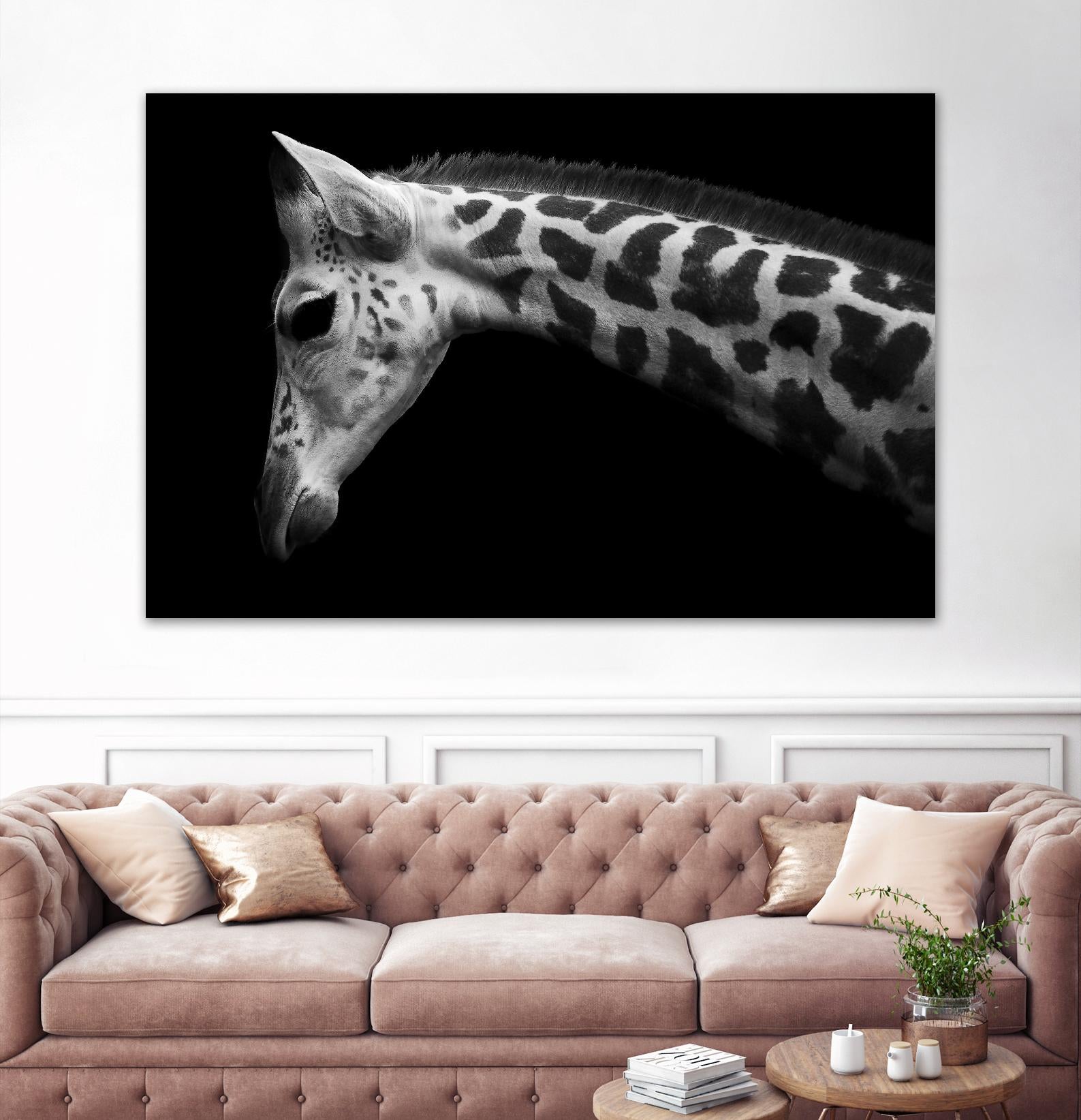 Williams - Calf by 1X on GIANT ART - white animals