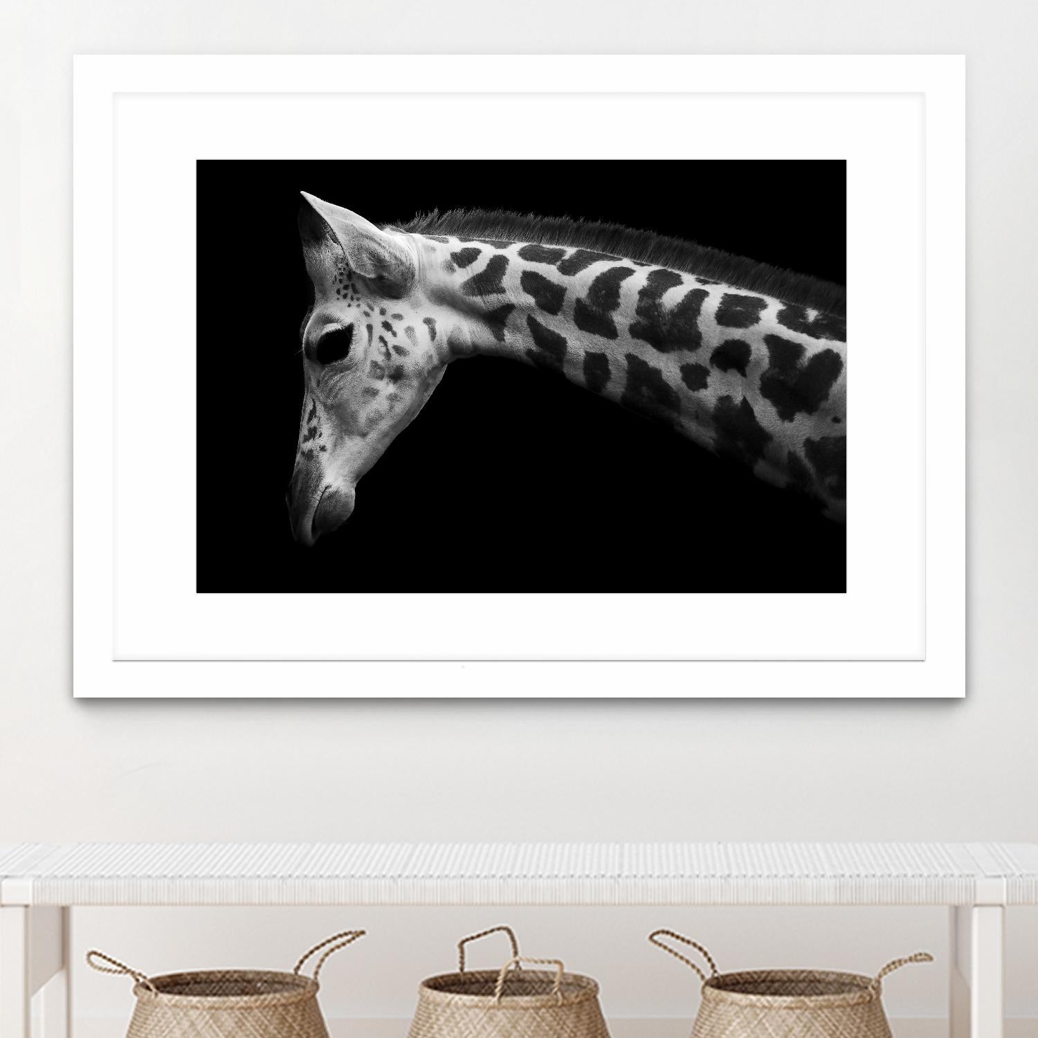 Williams - Calf by 1X on GIANT ART - white animals