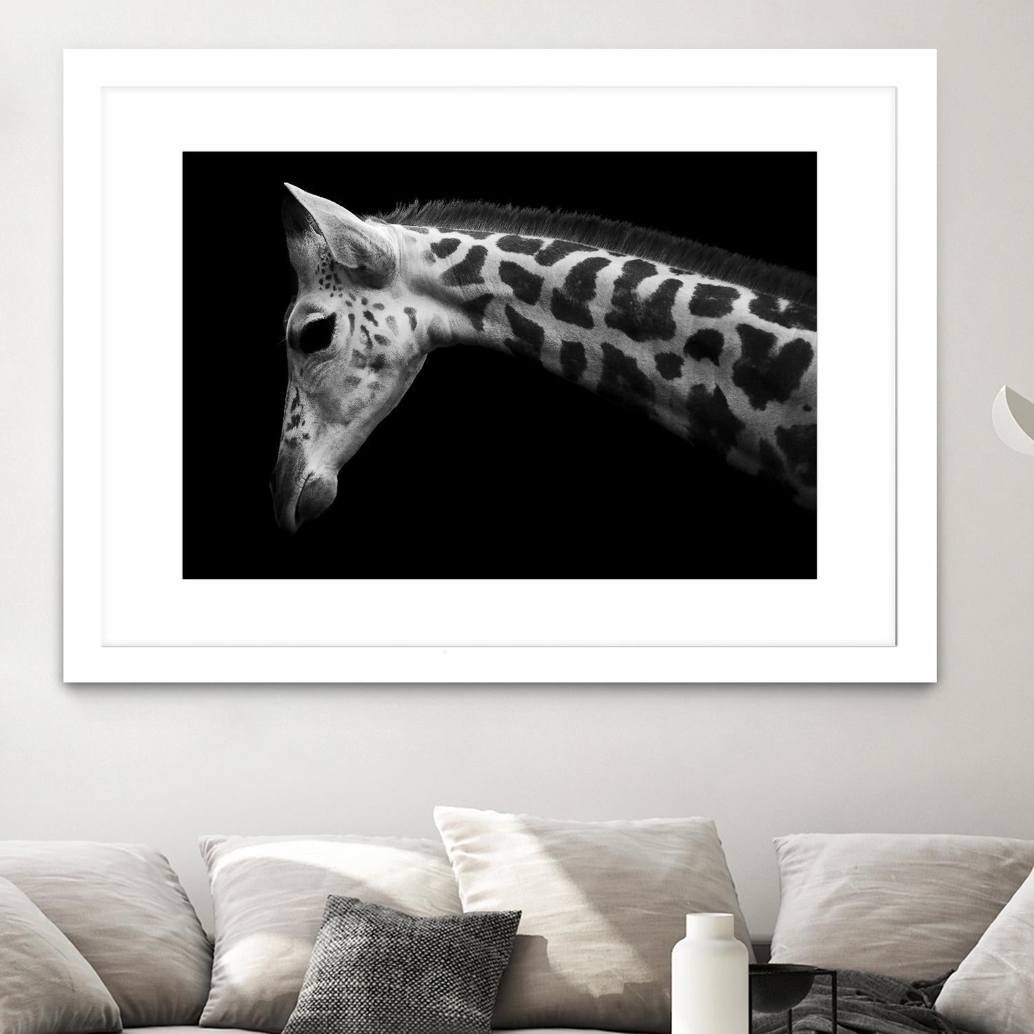 Williams - Calf by 1X on GIANT ART - white animals