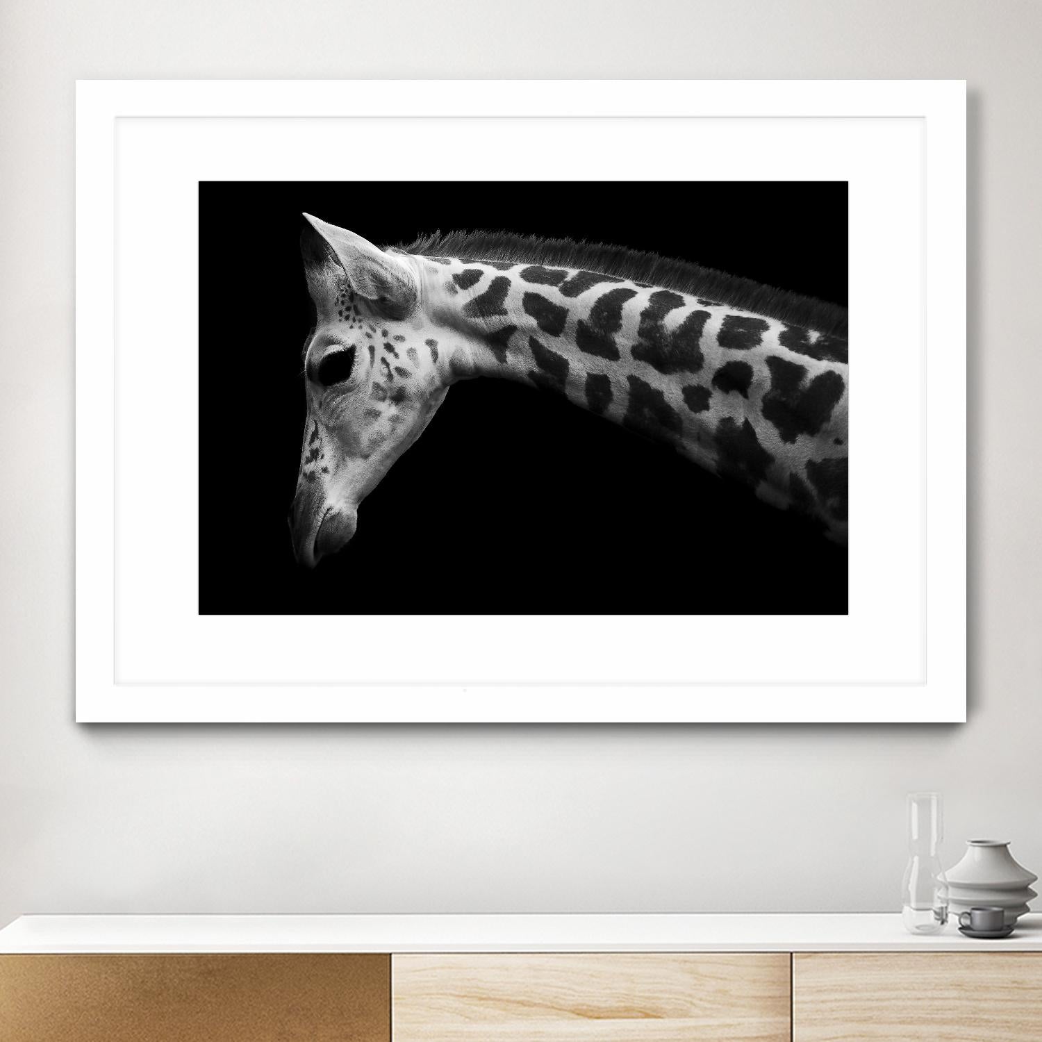 Williams - Calf by 1X on GIANT ART - white animals