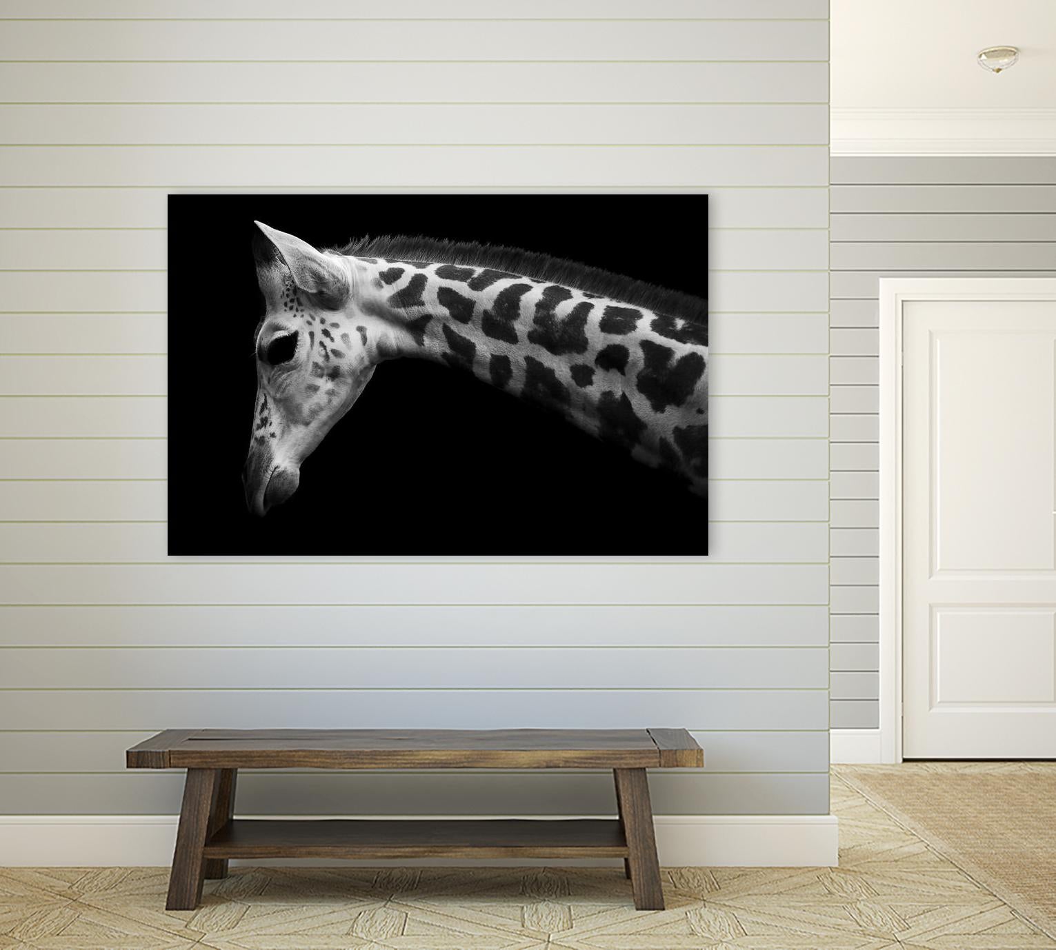 Williams - Calf by 1X on GIANT ART - white animals