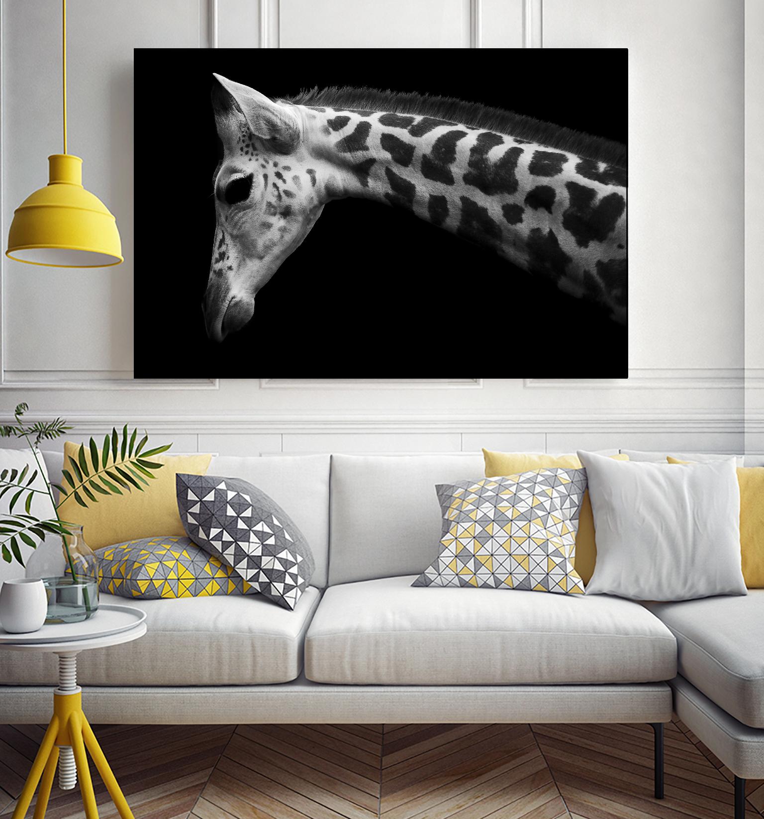 Williams - Calf by 1X on GIANT ART - white animals