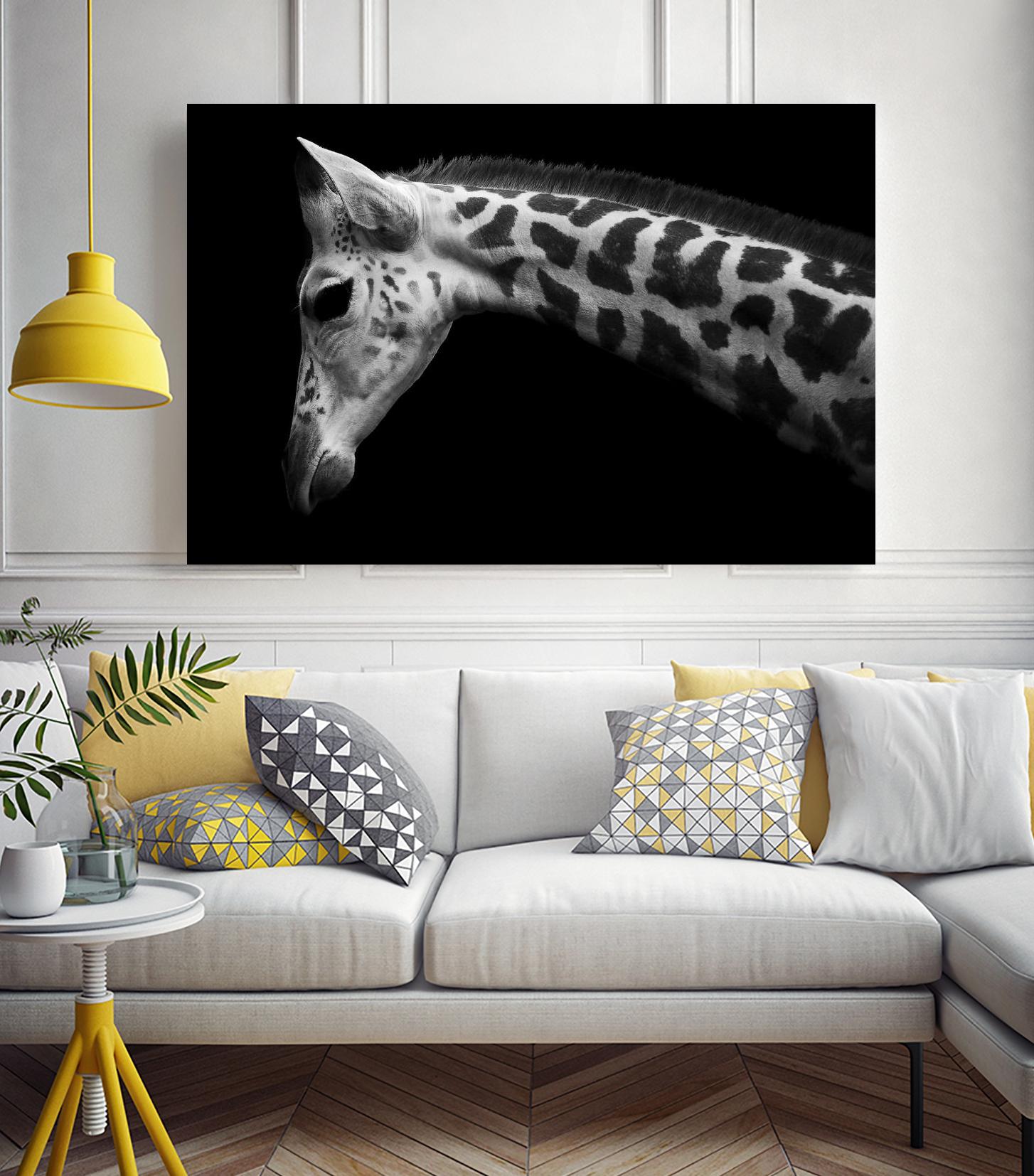 Williams - Calf by 1X on GIANT ART - white animals