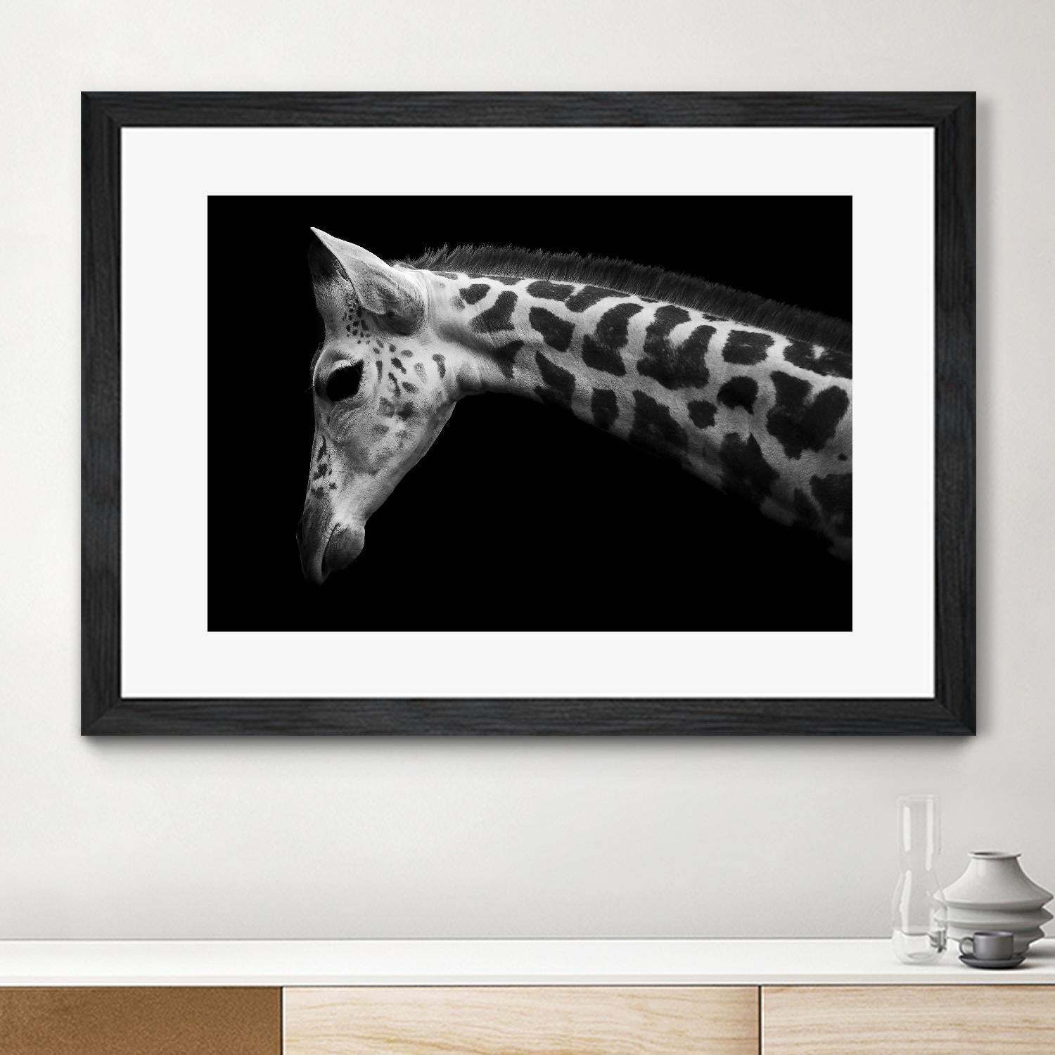 Williams - Calf by 1X on GIANT ART - white animals
