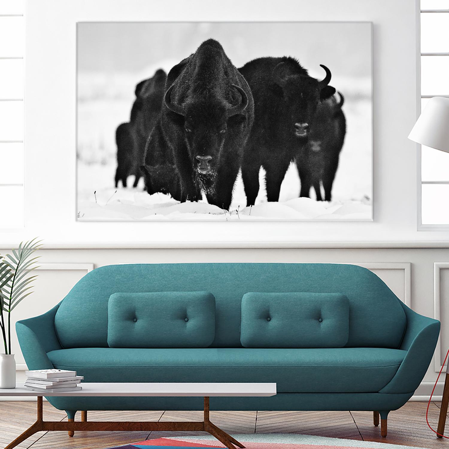 Europeans Bizons by Crepinsek 1X on GIANT ART - black animals