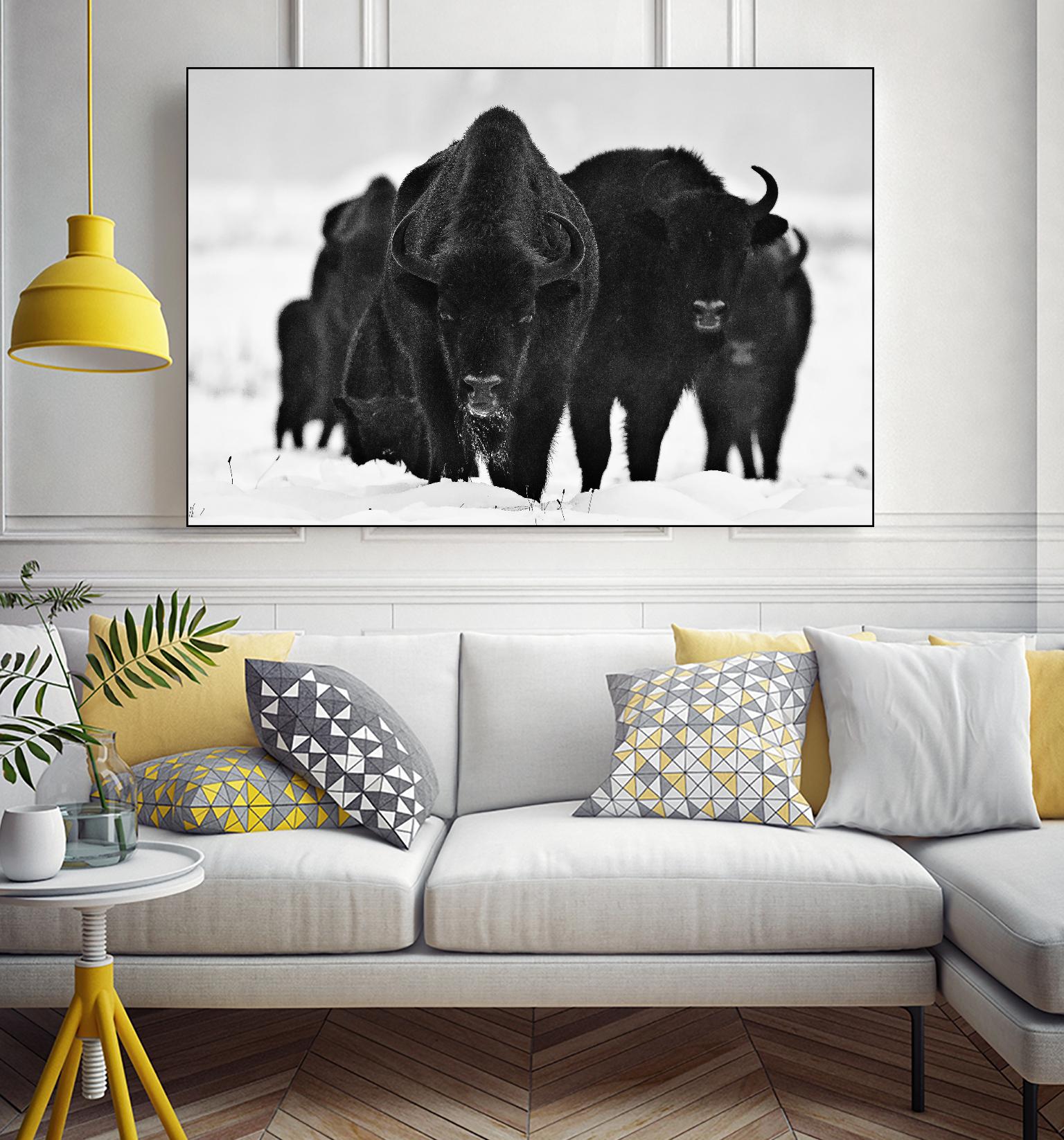 Europeans Bizons by Crepinsek 1X on GIANT ART - black animals