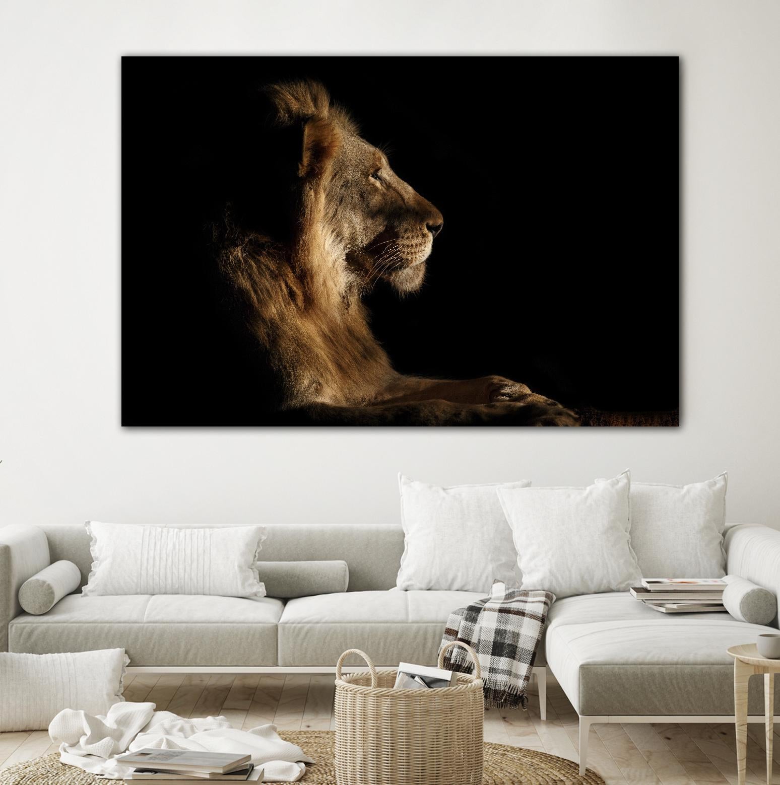 Royal Meeting in the Night by Hemb 1X on GIANT ART - black animals