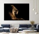 Royal Meeting in the Night by Hemb 1X on GIANT ART - black animals