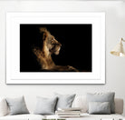 Royal Meeting in the Night by Hemb 1X on GIANT ART - black animals