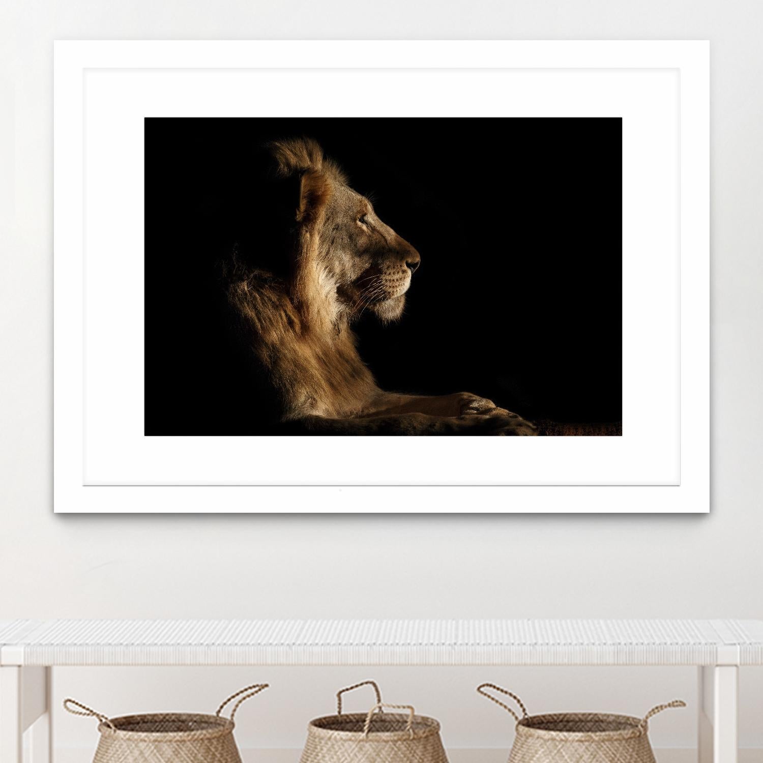 Royal Meeting in the Night by Hemb 1X on GIANT ART - black animals