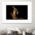 Royal Meeting in the Night by Hemb 1X on GIANT ART - black animals