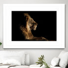 Royal Meeting in the Night by Hemb 1X on GIANT ART - black animals