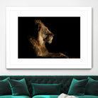 Royal Meeting in the Night by Hemb 1X on GIANT ART - black animals