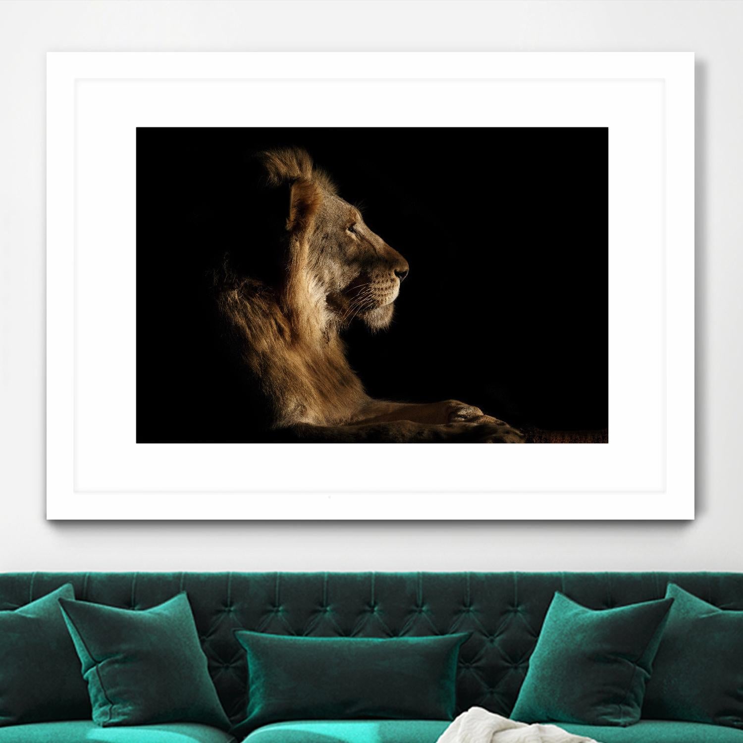 Royal Meeting in the Night by Hemb 1X on GIANT ART - black animals